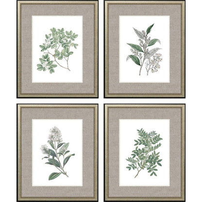 Set Of Four White Flowers Silver Framed Wall Art HomeRoots
