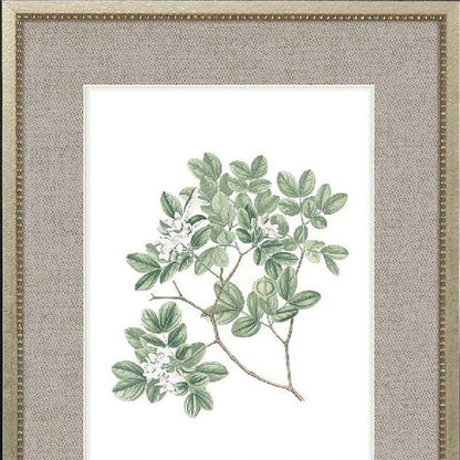 Set Of Four White Flowers Silver Framed Wall Art HomeRoots