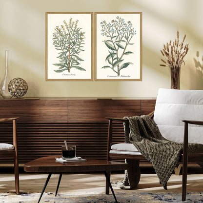 Set Of Two Botanical Plants I Gold Framed Wall Art HomeRoots