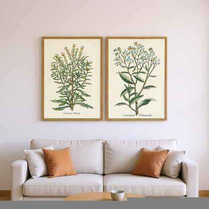 Set Of Two Botanical Plants I Gold Framed Wall Art HomeRoots