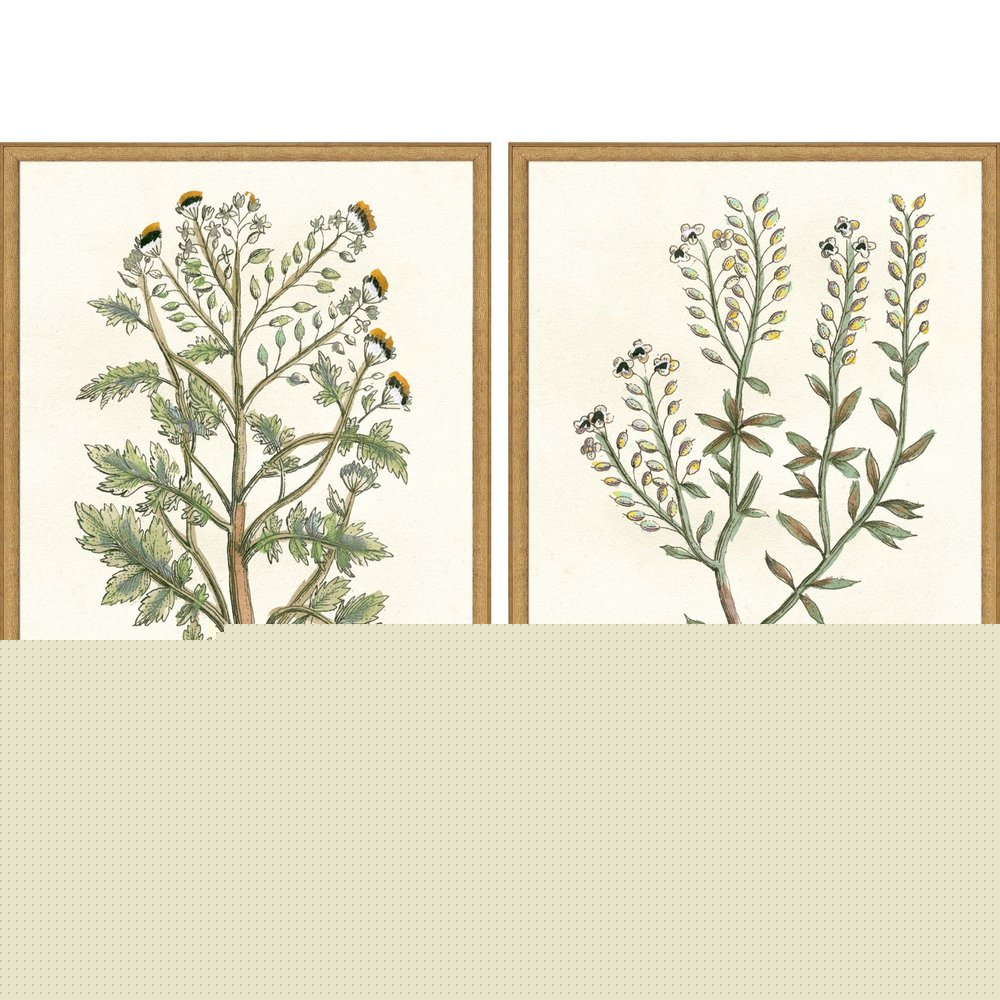 Set Of Two Botanical Plants II Gold Framed Wall Art HomeRoots