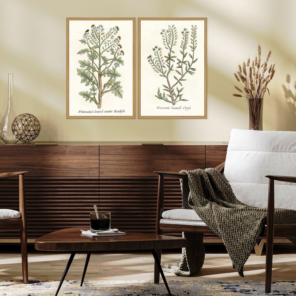 Set Of Two Botanical Plants II Gold Framed Wall Art HomeRoots