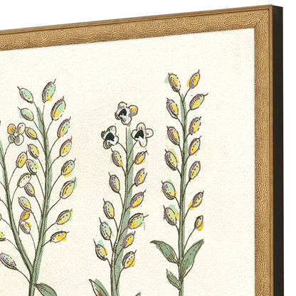 Set Of Two Botanical Plants II Gold Framed Wall Art HomeRoots
