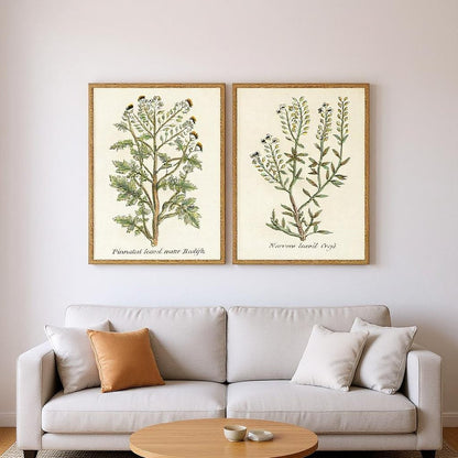 Set Of Two Botanical Plants II Gold Framed Wall Art HomeRoots