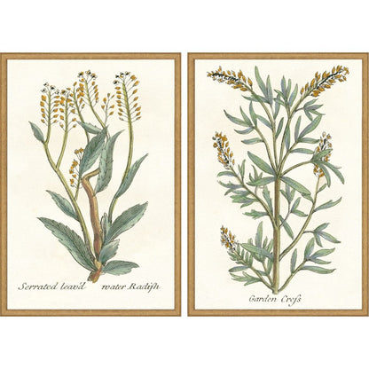 Set Of Two Botanical Plants III Gold Framed Wall Art HomeRoots