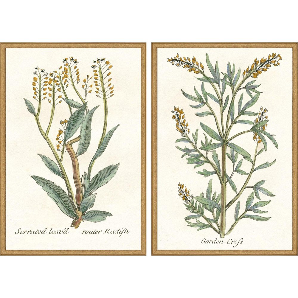 Set Of Two Botanical Plants III Gold Framed Wall Art HomeRoots