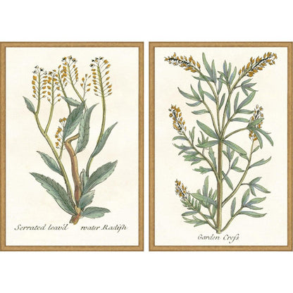Set Of Two Botanical Plants III Gold Framed Wall Art HomeRoots
