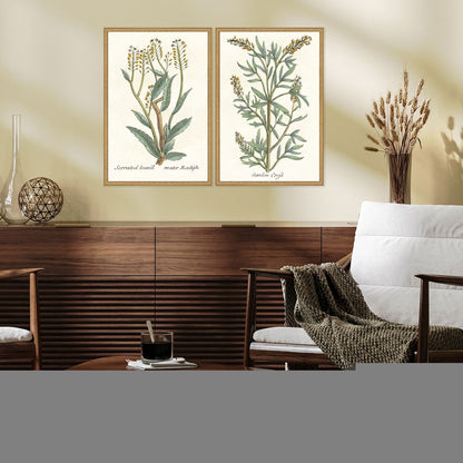 Set Of Two Botanical Plants III Gold Framed Wall Art HomeRoots