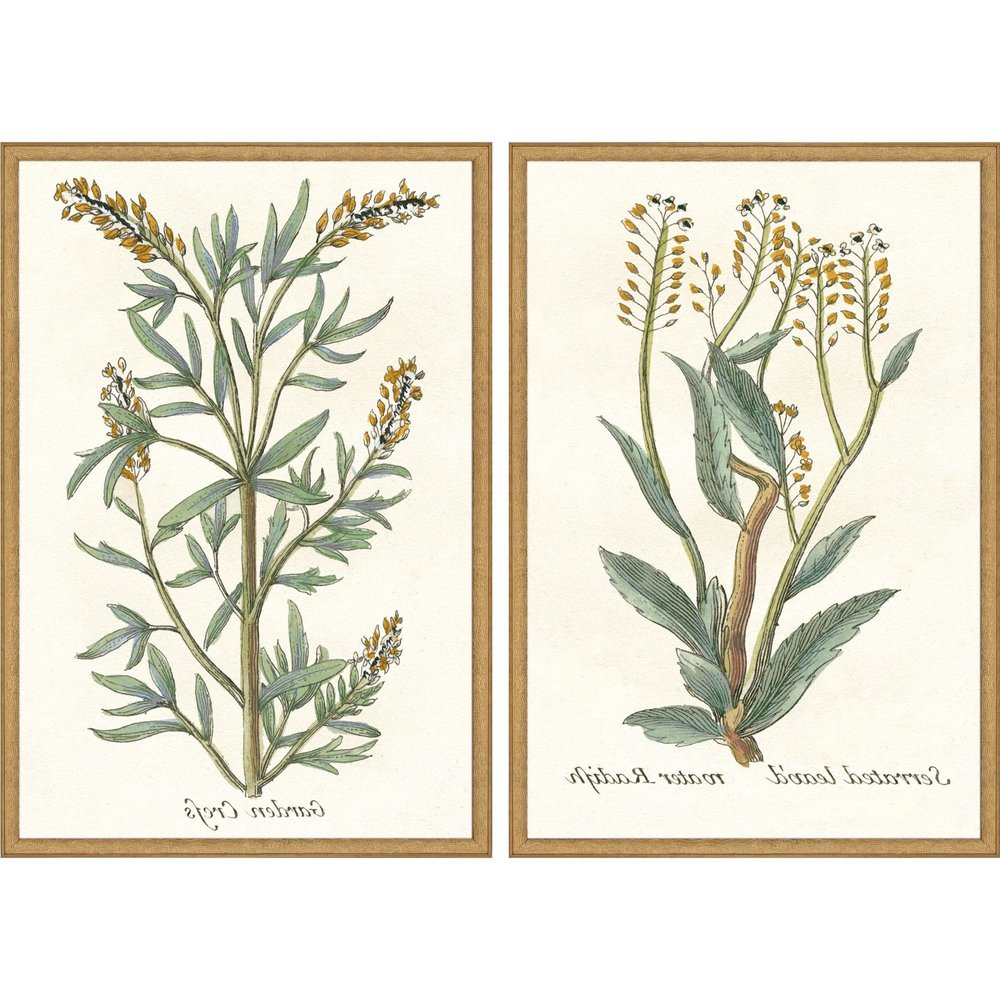 Set Of Two Botanical Plants III Gold Framed Wall Art HomeRoots