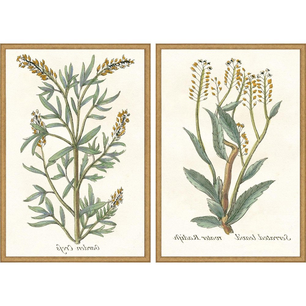 Set Of Two Botanical Plants III Gold Framed Wall Art HomeRoots