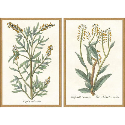 Set Of Two Botanical Plants III Gold Framed Wall Art HomeRoots