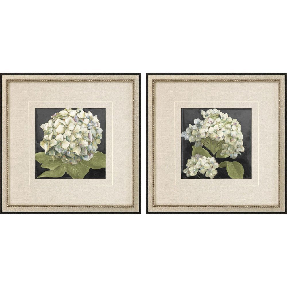 Set Of Two Hydrangeas on Black Silver Framed Wall Art HomeRoots