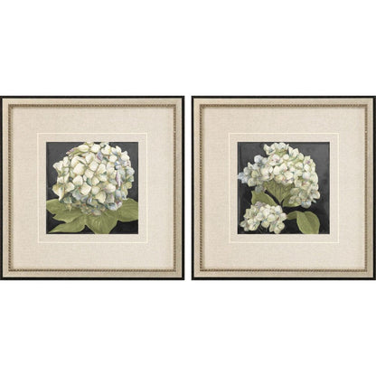 Set Of Two Hydrangeas on Black Silver Framed Wall Art HomeRoots