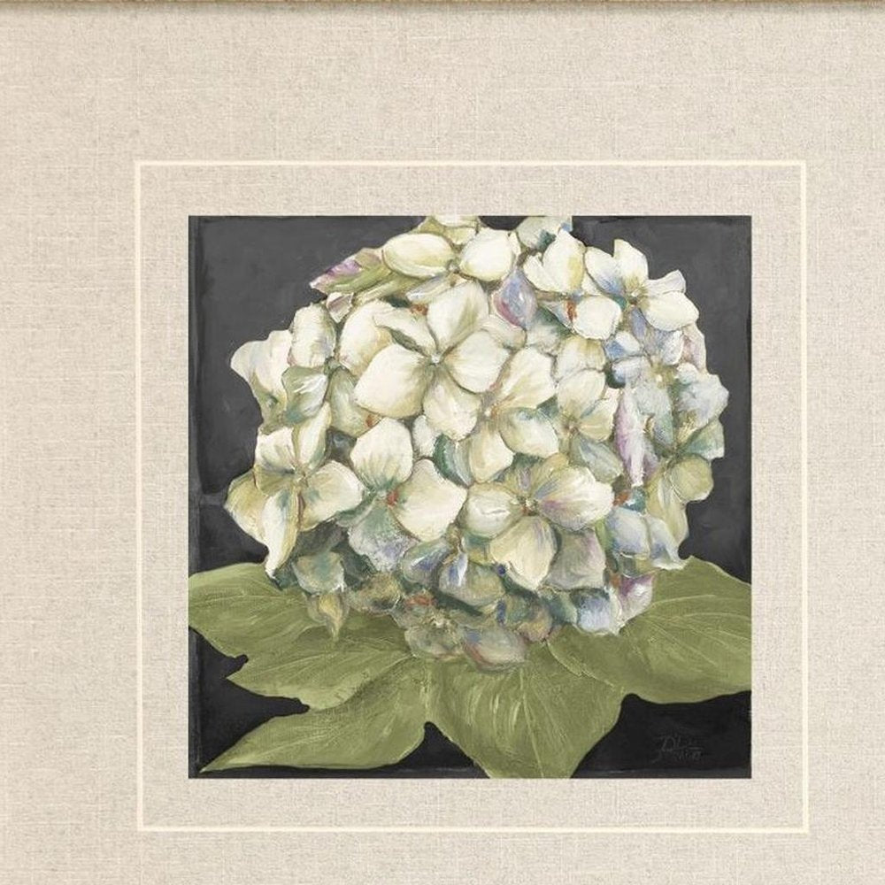 Set Of Two Hydrangeas on Black Silver Framed Wall Art HomeRoots