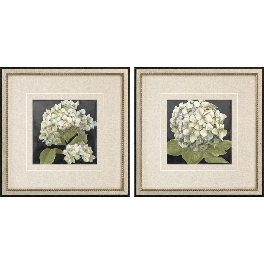 Set Of Two Hydrangeas on Black Silver Framed Wall Art HomeRoots