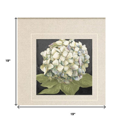 Set Of Two Hydrangeas on Black Silver Framed Wall Art HomeRoots