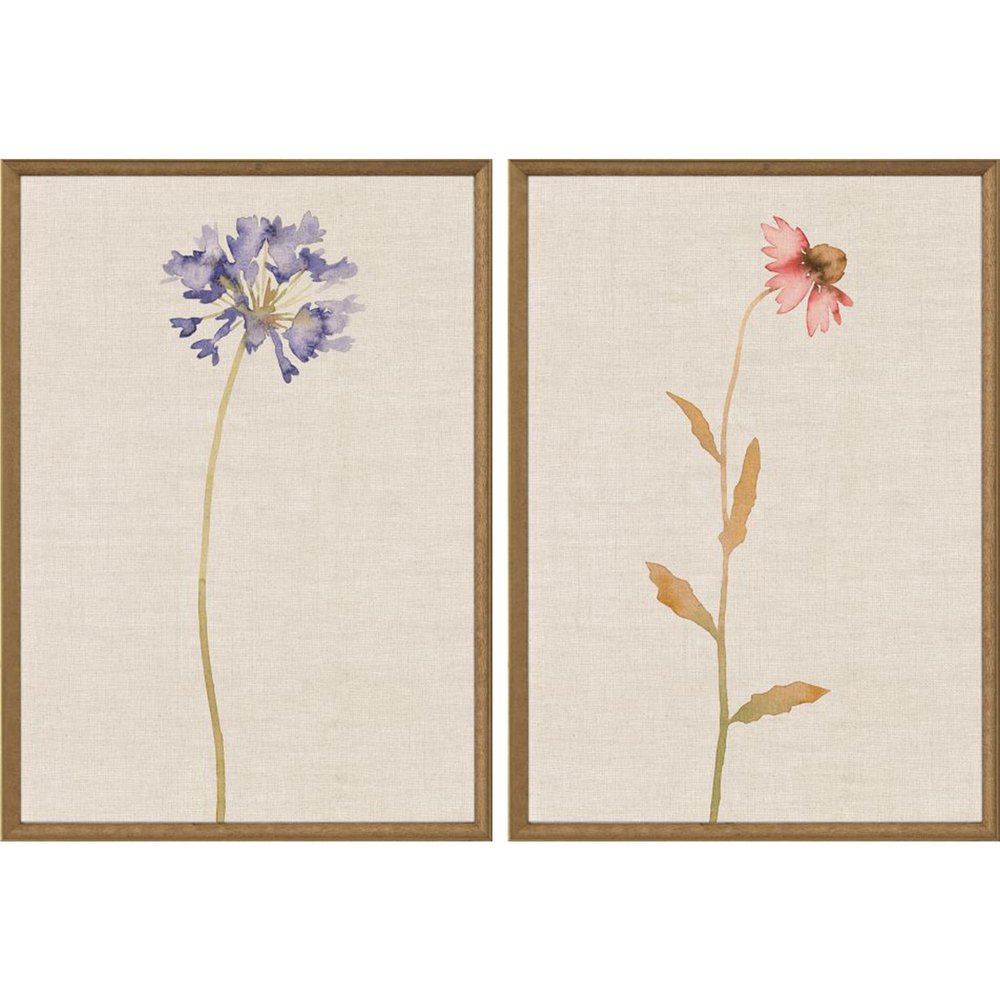 Set Of Two Wild Flourish I Gold Framed Wall Art HomeRoots