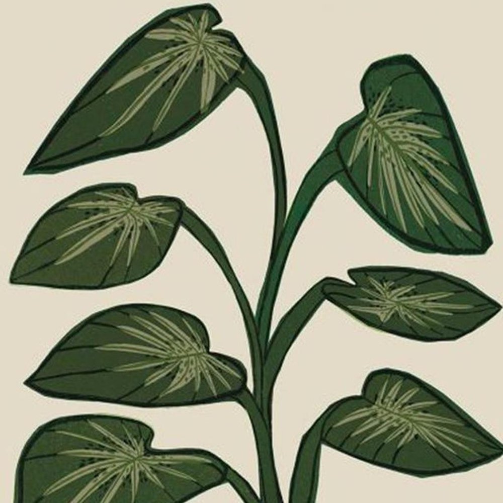 Set Of Four Tropical Abundance Gold Framed Wall Art HomeRoots