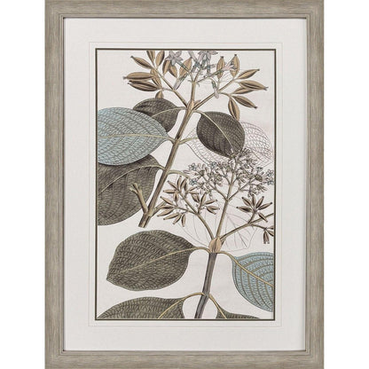 Flowering Botanical I Distressed Silver Framed Wall Art HomeRoots