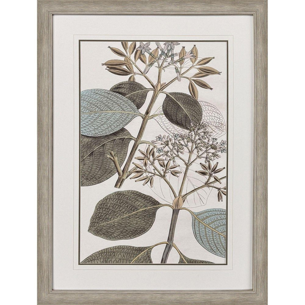 Flowering Botanical I Distressed Silver Framed Wall Art HomeRoots
