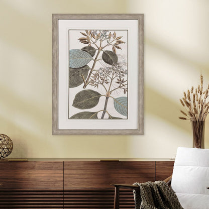 Flowering Botanical I Distressed Silver Framed Wall Art HomeRoots