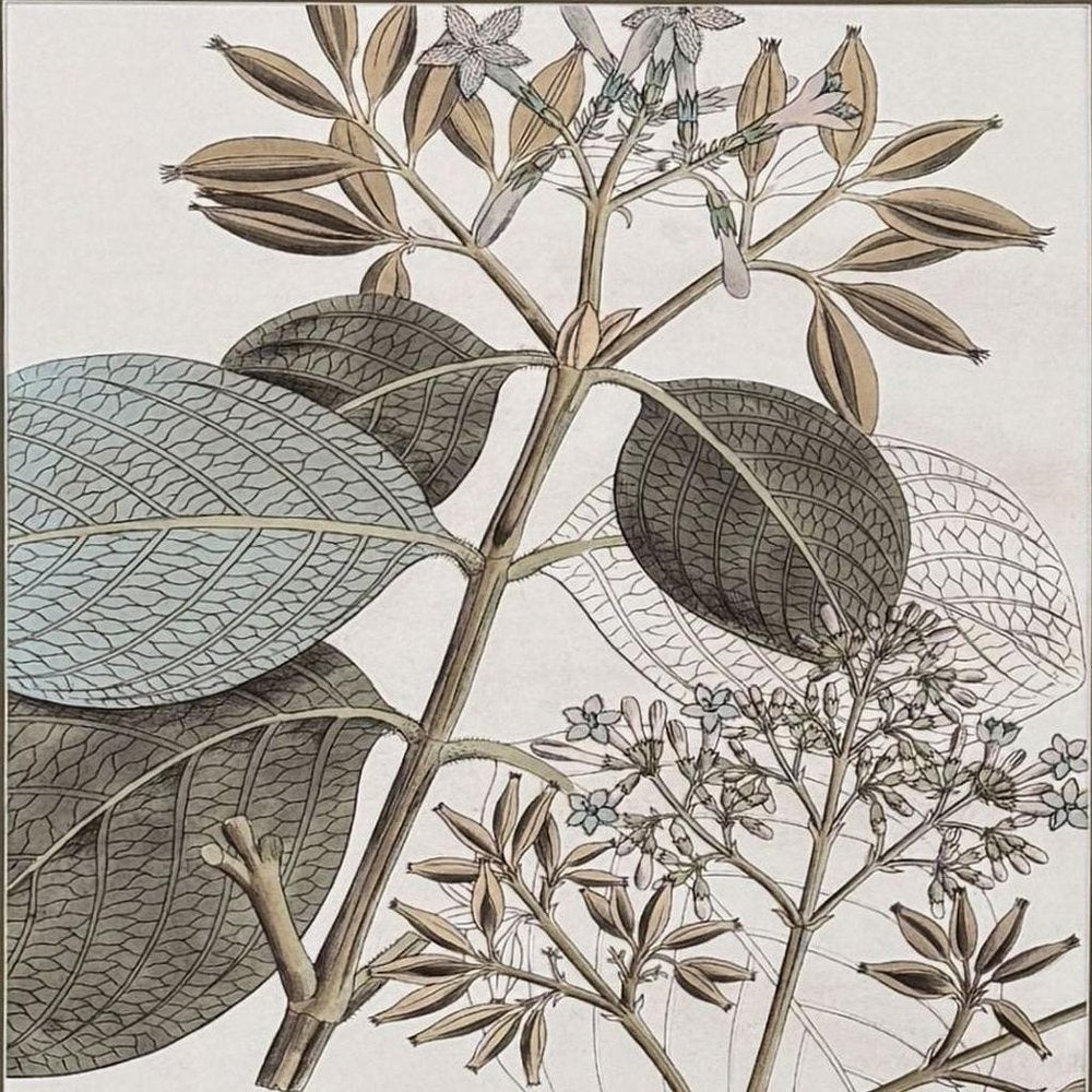 Flowering Botanical I Distressed Silver Framed Wall Art HomeRoots