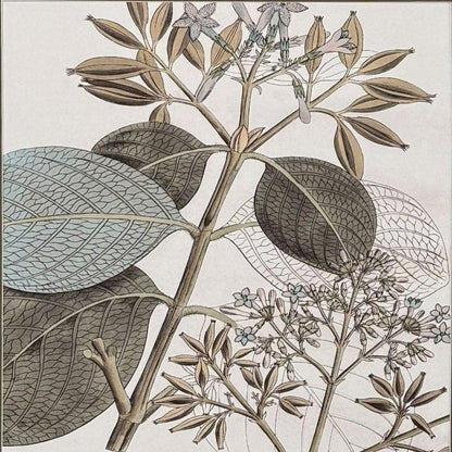 Flowering Botanical I Distressed Silver Framed Wall Art HomeRoots