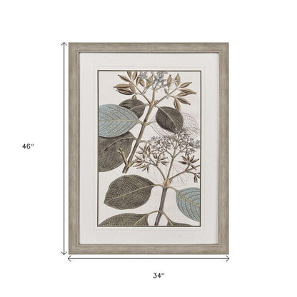 Flowering Botanical I Distressed Silver Framed Wall Art HomeRoots