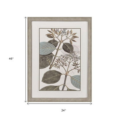 Flowering Botanical I Distressed Silver Framed Wall Art