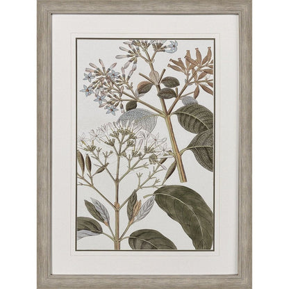 Flowering Botanical II Distressed Silver Framed Wall Art HomeRoots