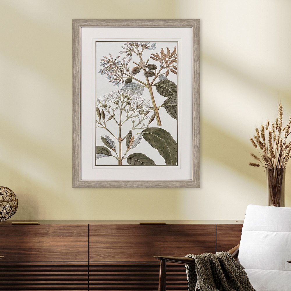 Flowering Botanical II Distressed Silver Framed Wall Art HomeRoots