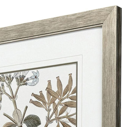 Flowering Botanical II Distressed Silver Framed Wall Art HomeRoots