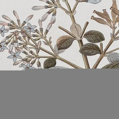 Flowering Botanical II Distressed Silver Framed Wall Art HomeRoots