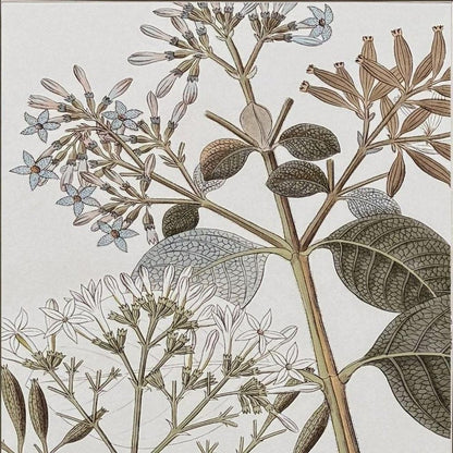 Flowering Botanical II Distressed Silver Framed Wall Art HomeRoots
