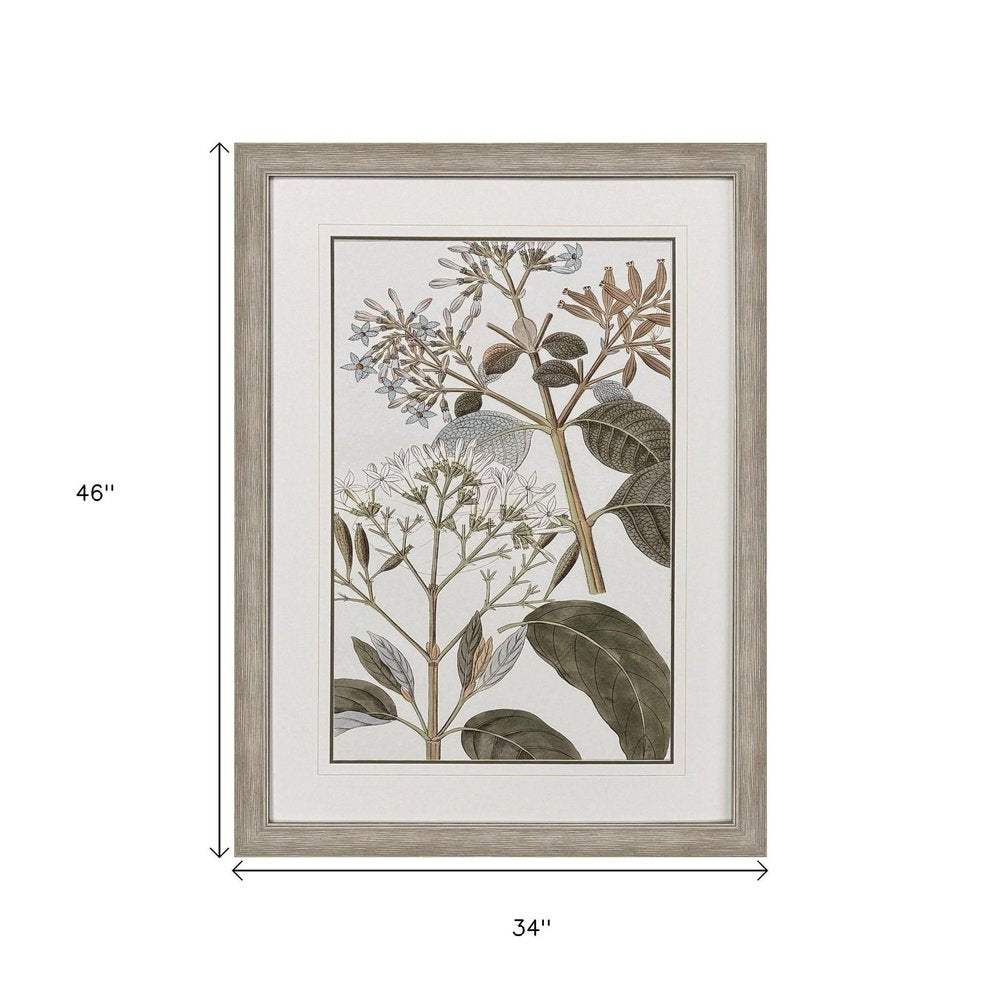 Flowering Botanical II Distressed Silver Framed Wall Art HomeRoots