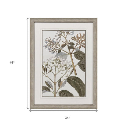 Flowering Botanical II Distressed Silver Framed Wall Art HomeRoots
