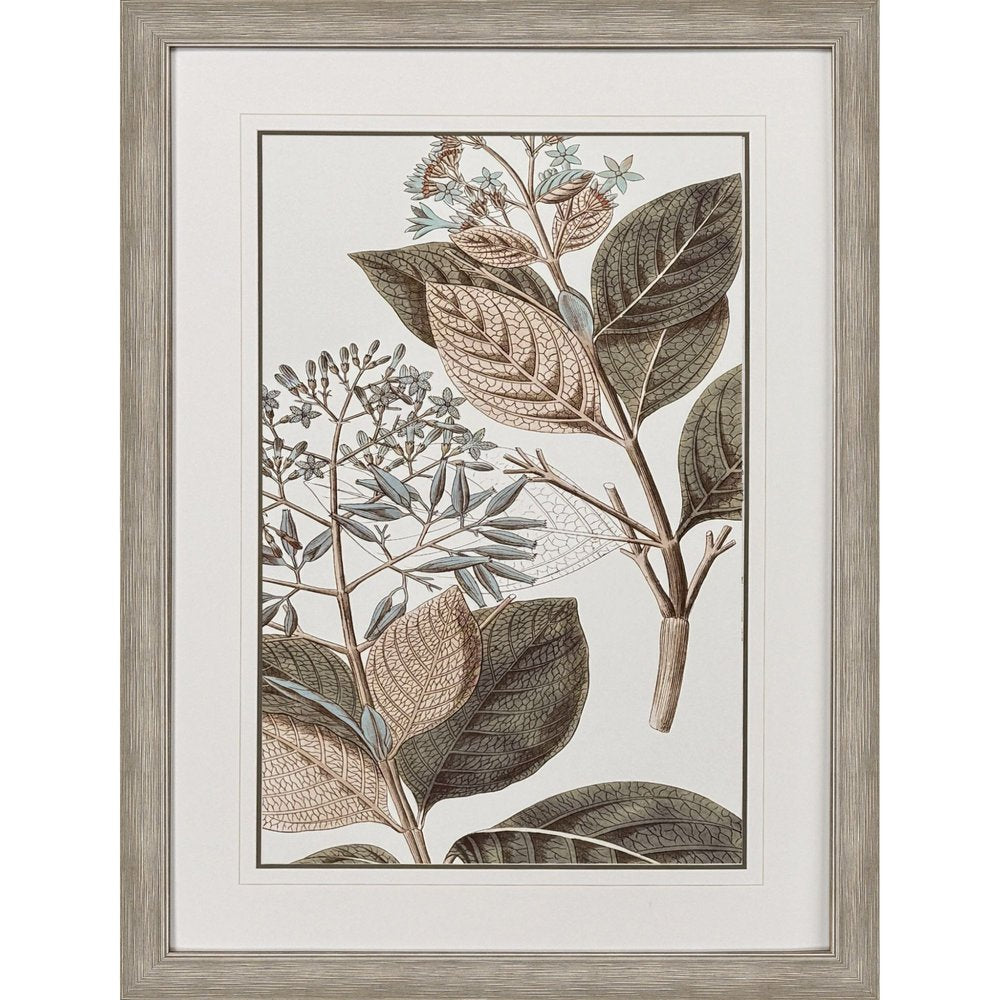 Flowering Botanical III Distressed Silver Framed Wall Art HomeRoots