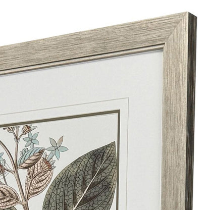 Flowering Botanical III Distressed Silver Framed Wall Art HomeRoots