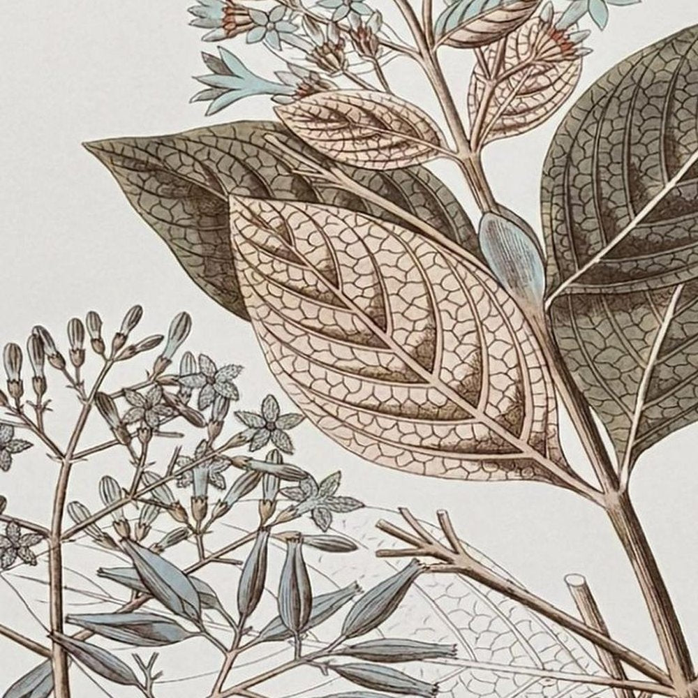 Flowering Botanical III Distressed Silver Framed Wall Art HomeRoots