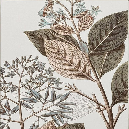 Flowering Botanical III Distressed Silver Framed Wall Art HomeRoots