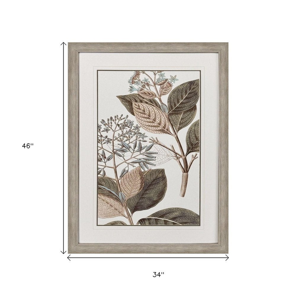 Flowering Botanical III Distressed Silver Framed Wall Art HomeRoots