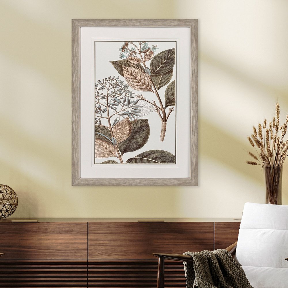 Flowering Botanical III Distressed Silver Framed Wall Art HomeRoots