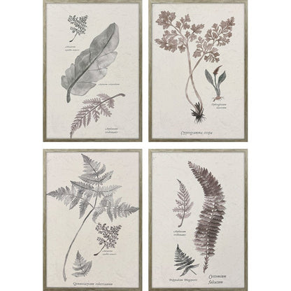 Set Of Four Fern Study Silver Framed Wall Art HomeRoots