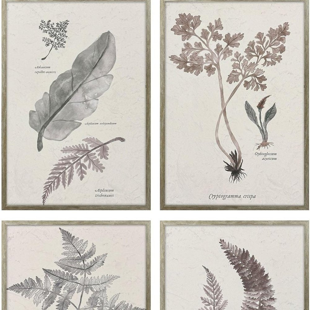 Set Of Four Fern Study Silver Framed Wall Art HomeRoots