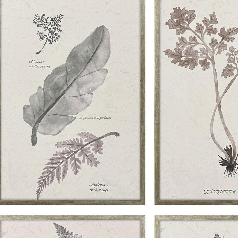 Set Of Four Fern Study Silver Framed Wall Art HomeRoots