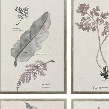 Set Of Four Fern Study Silver Framed Wall Art HomeRoots