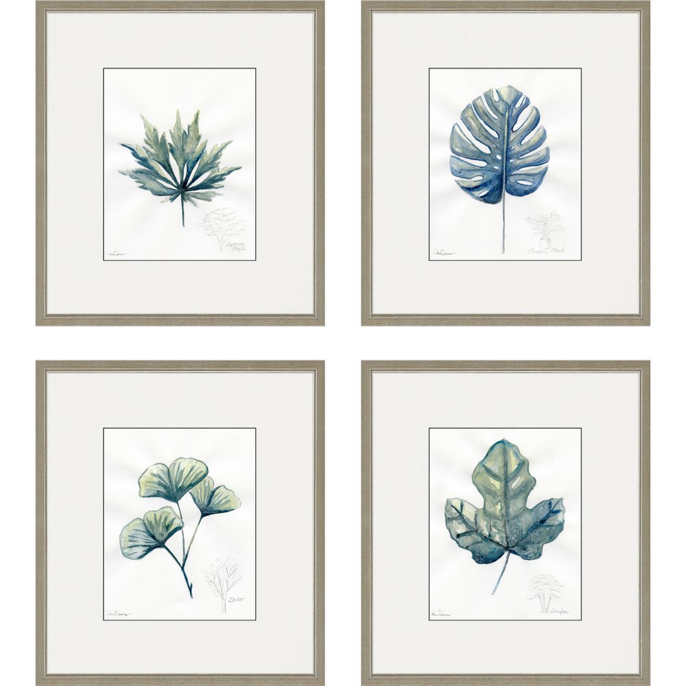Set Of Four Plant Drawings Gold Framed Wall Art HomeRoots