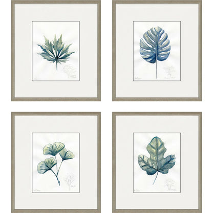 Set Of Four Plant Drawings Gold Framed Wall Art HomeRoots
