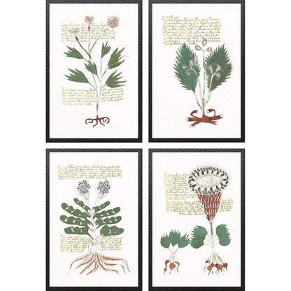 Set Of Four Magical Botany Black Framed Wall Art HomeRoots
