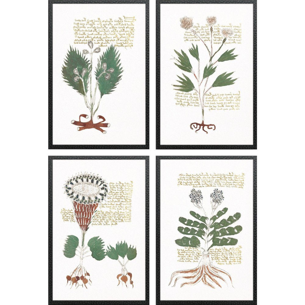 Set Of Four Magical Botany Black Framed Wall Art HomeRoots